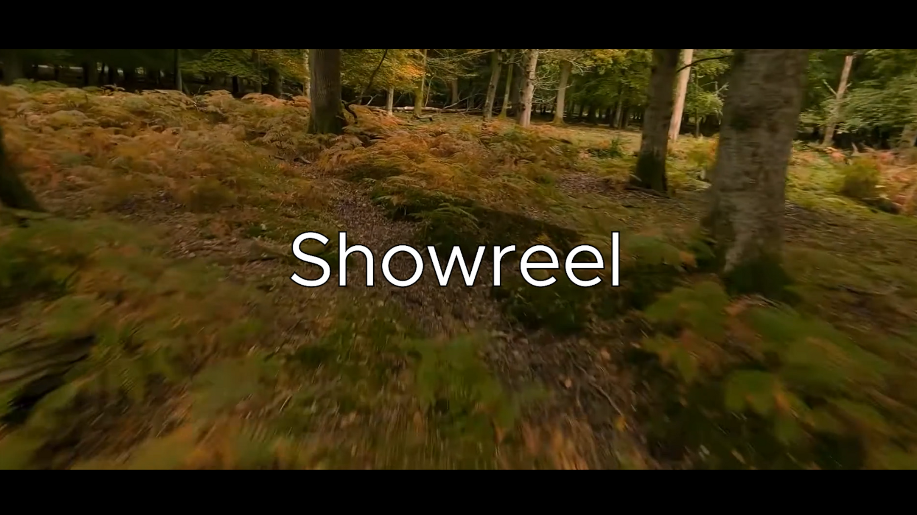 Video Editing Show Reel NP
